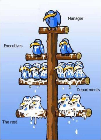 La Pirámide Empresarial